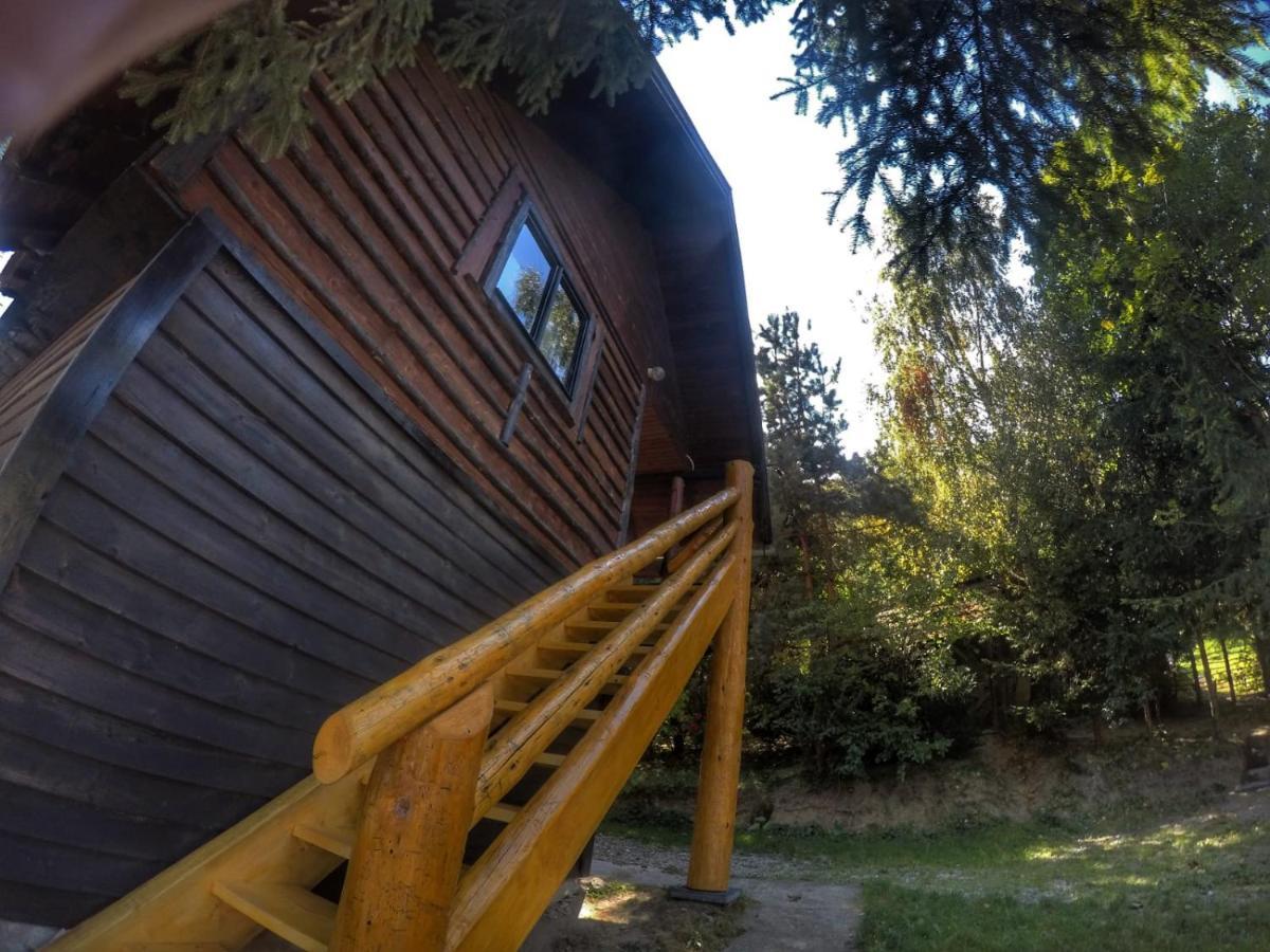 Pensiunea Padina Bran  Exterior photo