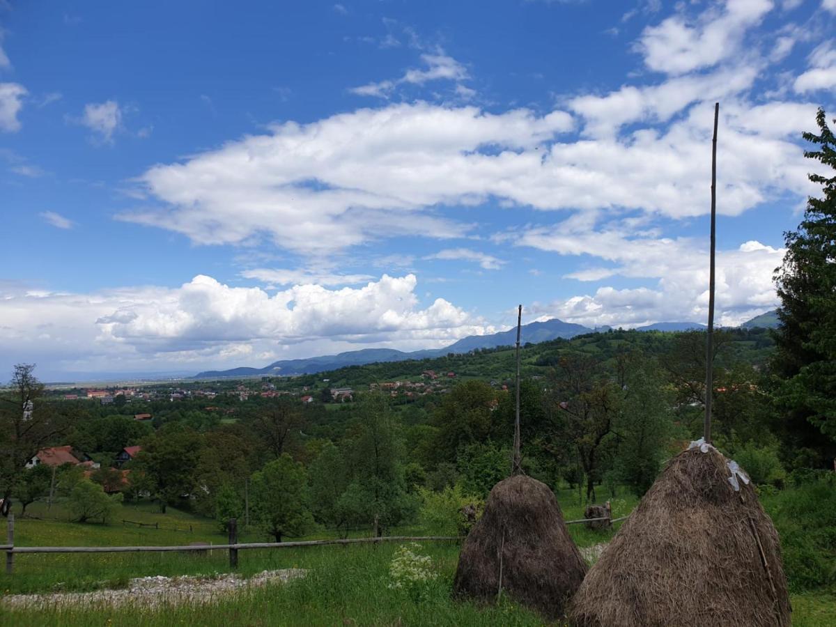 Pensiunea Padina Bran  Exterior photo